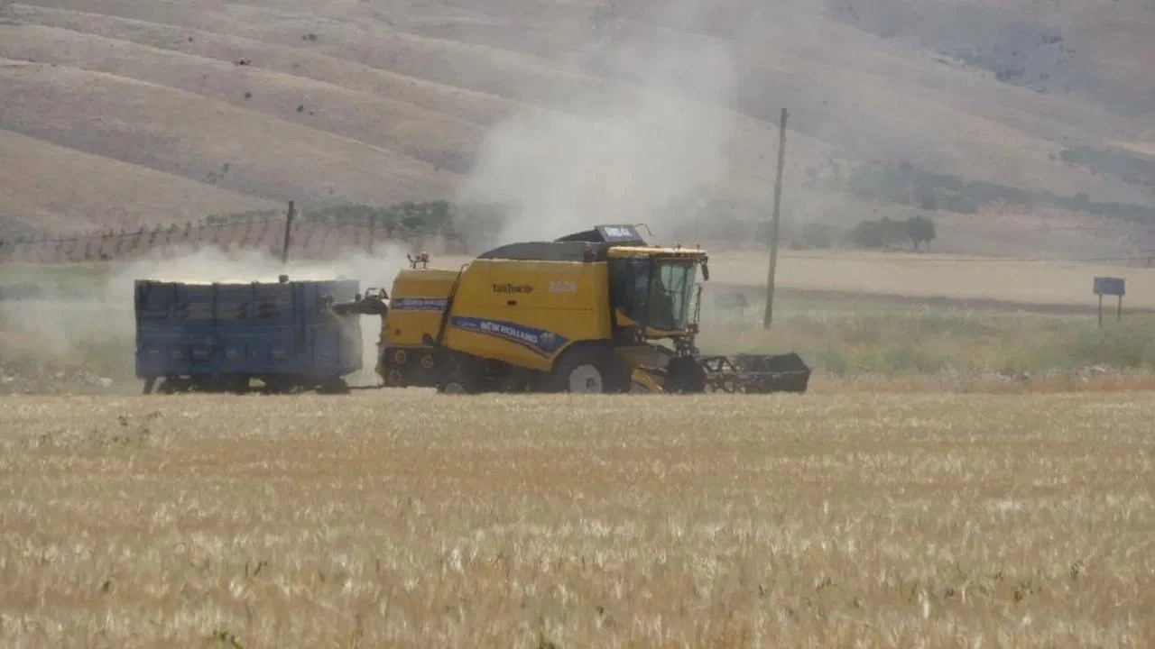 Adıyaman'da hububat hasadı başladı: Kuraklık ve don rekolteyi düşürdü