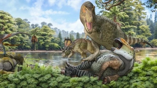 Dinozorların kralı Asya'dan geldi! Bilim dünyası T-Rexlerin evrimini yeniden yazdı