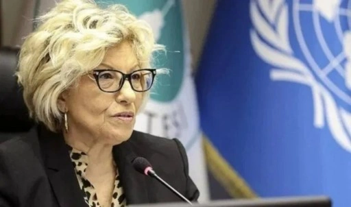 Sevil Atasoy kimdir? Prof. Dr. Sevil Atasoy Sevil Atasoy kaç yaşında, nereli?